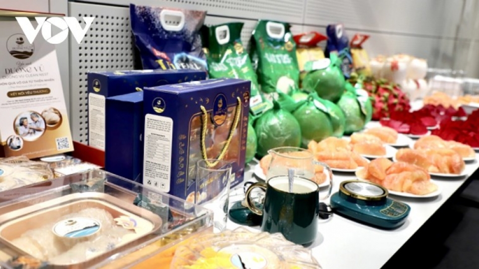 Vietnamese exporters turn to German market amid rising US tariffs